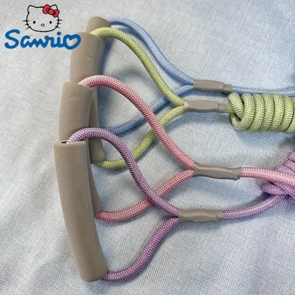 🌟NEW🌟 Sanrio Adjustable Dog Harness and Leash Set